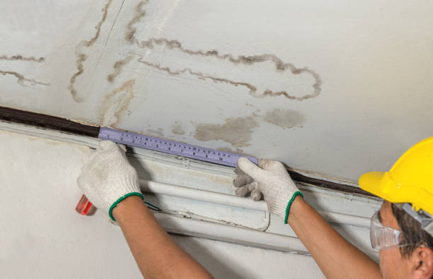 Reliable Water Damage Repair contractor in Eastlake, OH by Hirex Water Damage